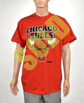 1990s Jordan Era Chicago Bulls T-Shirt NEW