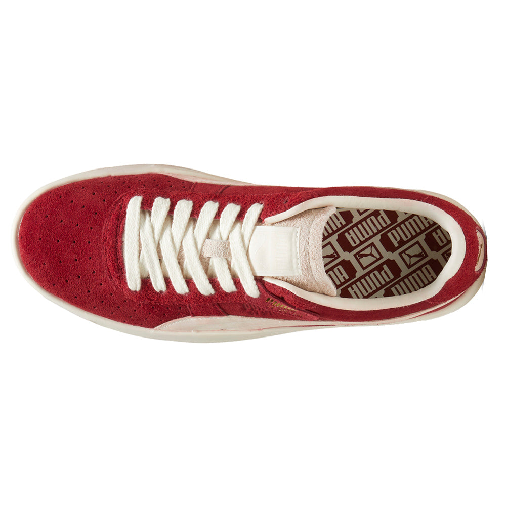 GV Special Suede Lace Up Sneakers