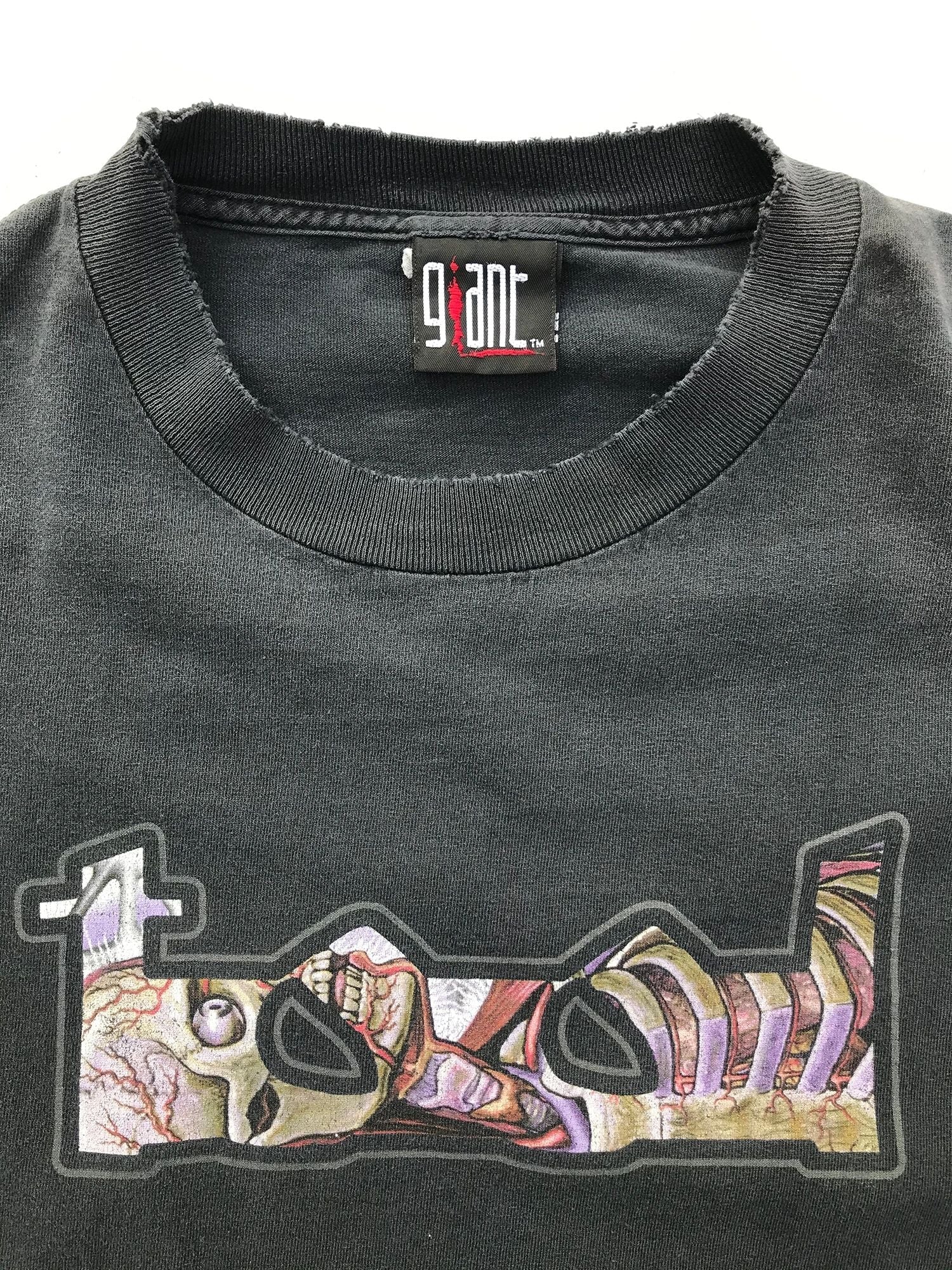 2001 Tool Lateralus Perfectly Faded Band T-Shirt by Giant