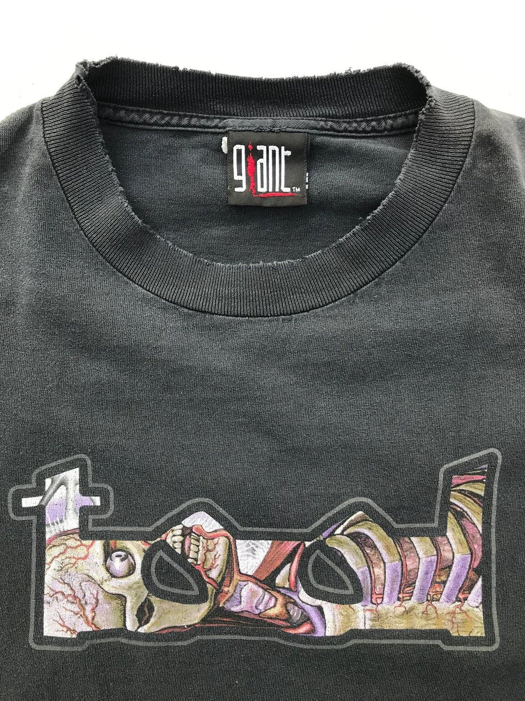 2001 Tool Lateralus Perfectly Faded Band T-Shirt by Giant