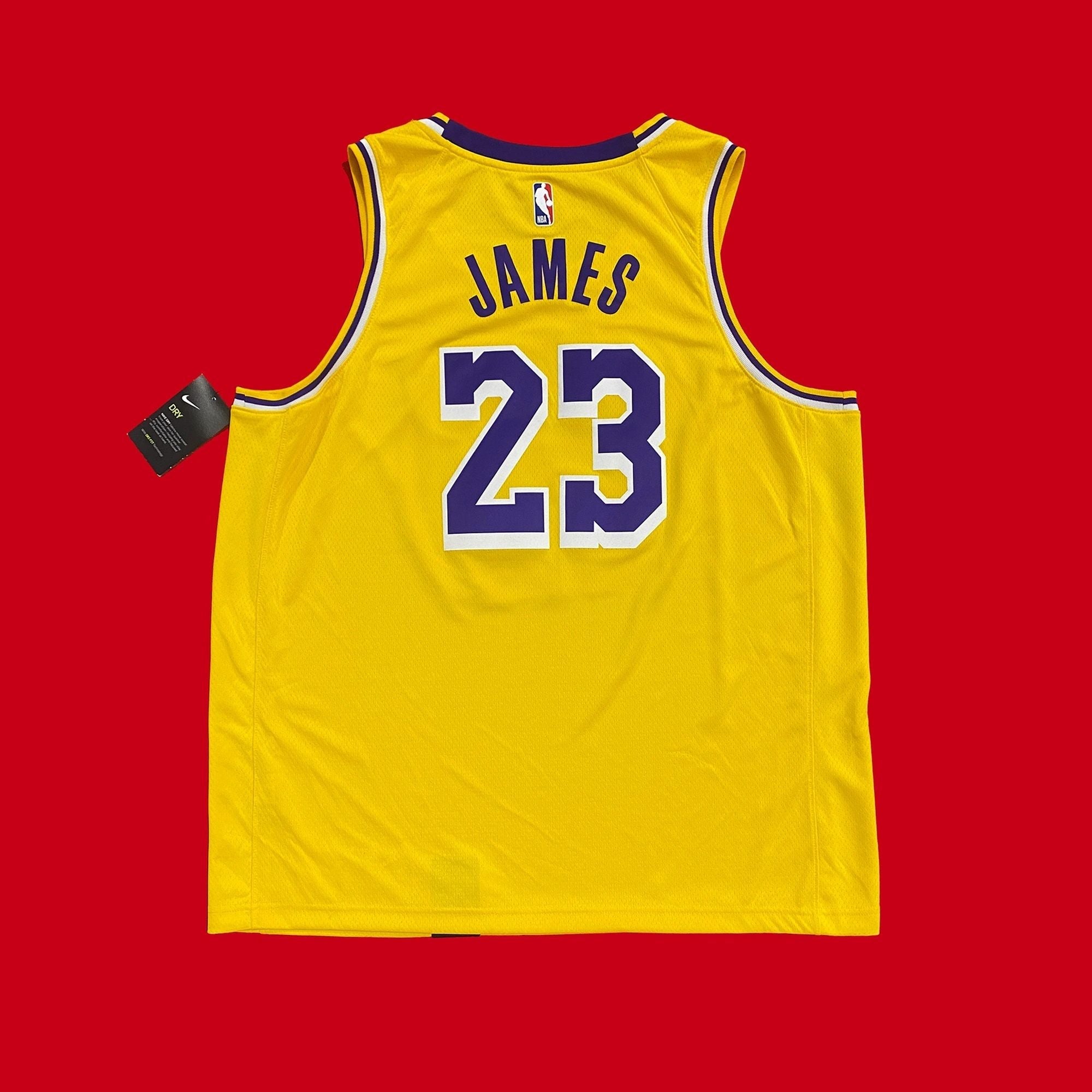 Los Angeles Lakers Lebron James Nike Icon Jersey NEW