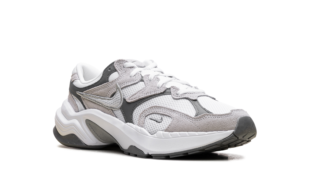 AL8 WMNS"Smoke Grey Metallic Silver" FJ3794 101