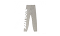 JDI Leggings WMNS"Grey" CZ8534 063